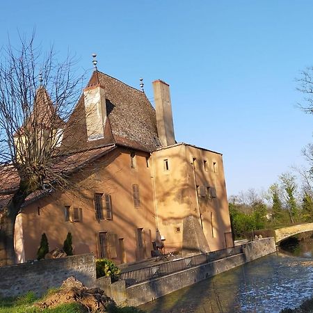 Chateau De La Venerie Denicé Buitenkant foto