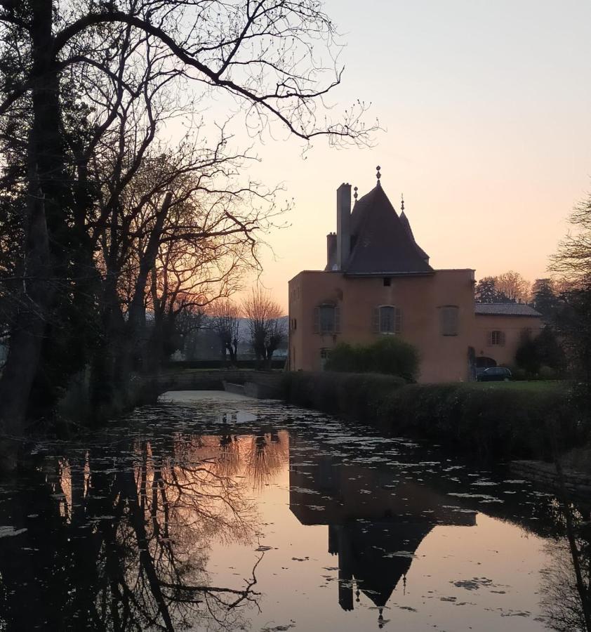 Chateau De La Venerie Denicé Buitenkant foto